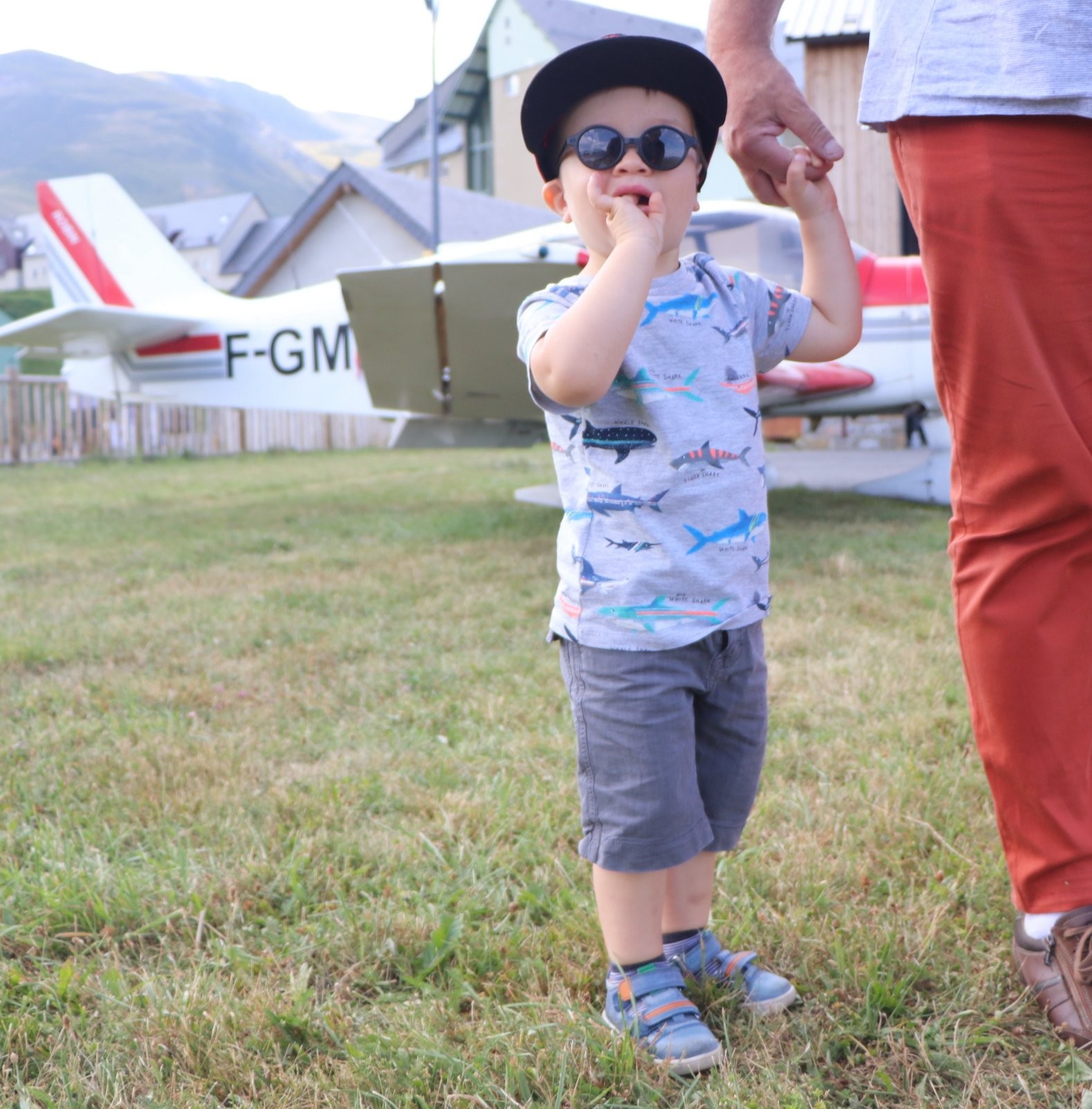 FLY-IN 2020